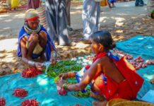 Bonda Tribe of Odisha: Culture, Location & Onukadelli Market Bonda Tribal Woman Buying Some Stuffs