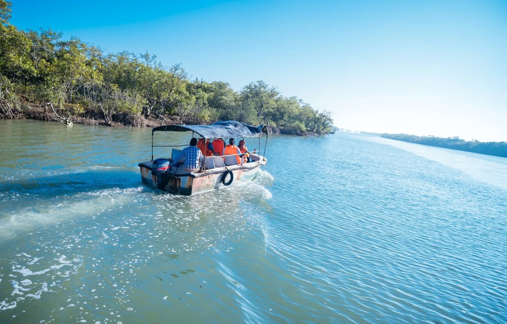 Bichitrapur Mangrove Sanctuary